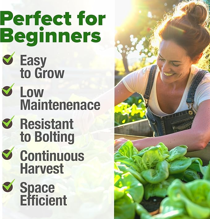 HOME GROWN Buttercrunch Lettuce Seed Pack - 3950 Vegetable Seeds - Ideal Seeds for Hydroponic Garden Indoor Premium and Heirloom Butter Lettuce Seeds for Planting (Lactuca Sativa)