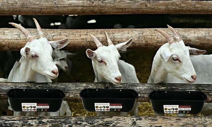 3 Pack Duck Chicken Poultry Hanging Fence Feeder | 8 Quarts in Total | Black｜A Free Feed Scoop Included