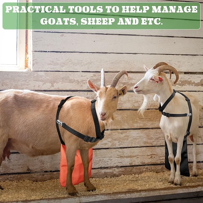 Kajaia 2 Pcs Goat Apron Anti Breeding, Anti Mating Skirt Sheep Skirt Control Buck with Adjustable Chest Strap and Collar for Goats and Sheep M Size
