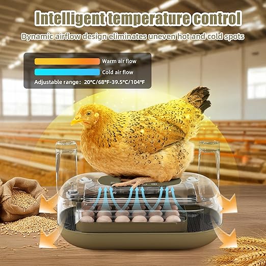XOTTI 24 Egg Incubator for Hatching Eggs, with Smart Temperature Control and Humidity Display, Auto Egg Turner, 360° View, LED Candler, Incubator for Chicken Duck Quail Goose for Home School Farm Lab