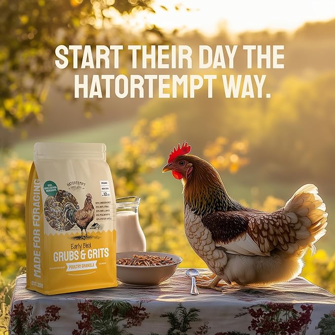 Hatortempt Chicken Feed Granules - 10 lb, Non-GMO - Protein-Rich Meal Worms & Black Soldier Fly Larvae & Oyster Shell Grubs Mix - Calcium Grit & Treats for Chickens - Egg Layer Feed