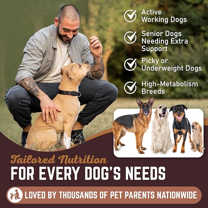 5 Natural Duck Head Dog Treats – Single Ingredient, Dehydrated & Digestible – Low-Fat, High-Protein Chew for Training & Dental Health – Made in USA
