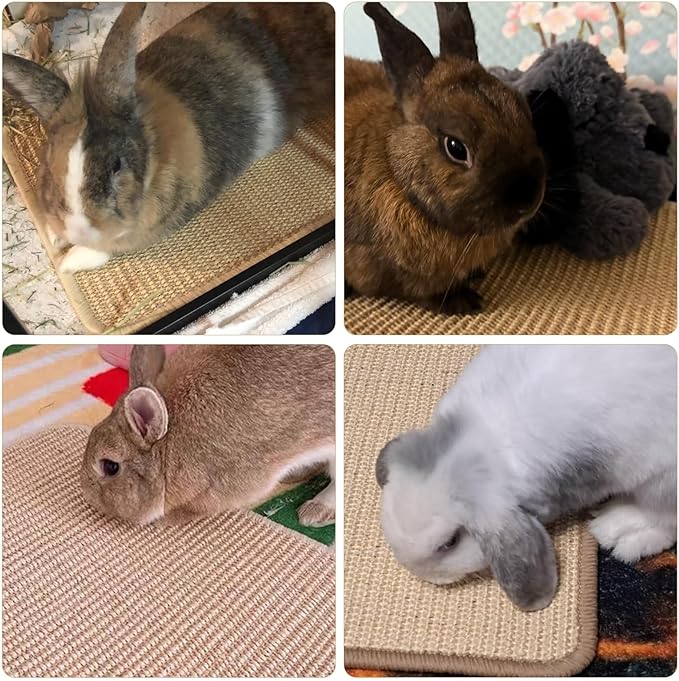 4PCS Rabbit Scratching Pad 16 x 12 Inch, Natural Sisal Bunny Scratching Pad, Rabbit Scratch Mat, Claws and Teeth Care Mats for Biting Sleeping Nesting Small Animal Bedding Chew Toys