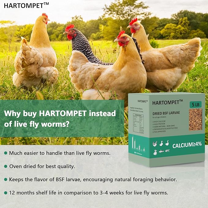 HARTOMPET Better Than Dried Mealworms for Chickens 5 lbs - 85X Calcium Than MealWorms - Non-GMO Chicken Feed Additive - Black Soldier Fly Larvae Treats for Hens, Ducks, Wild Birds