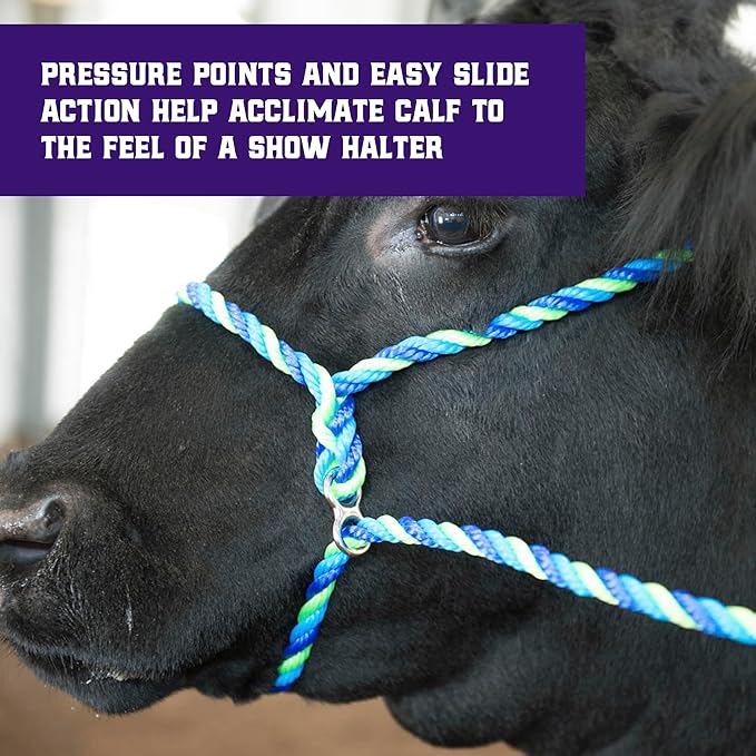 Weaver Livestock Poly Rope Breaking Cattle Halter, Adjustable, Modern Style Cow Calf Halter, Livestock Handling Equipment for Showing, Blue
