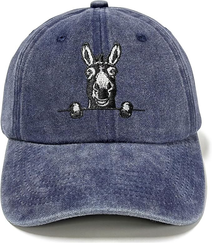 Embroidered Baseball Hats for Men and Women