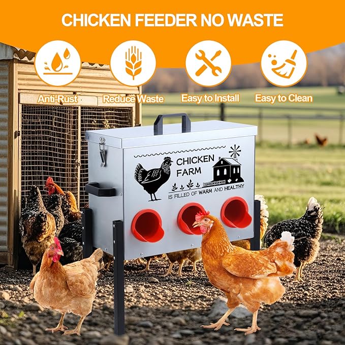Automatic Chicken Feeder Box 30 lbs, 6 Feeding Ports, No Waste Poultry Feeder with Locking Lid and Adjustable Legs for Chickens, Ducks, Geese Galvanized Metal (30 Lbs-6 Ports)