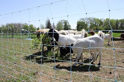 Starkline 42" x 164' Electric Netting All-in-One Solar Kit for Goats, Sheep, Gardens, Beehives, Dogs, and More for Backyards, Homesteads, Farms and Ranches