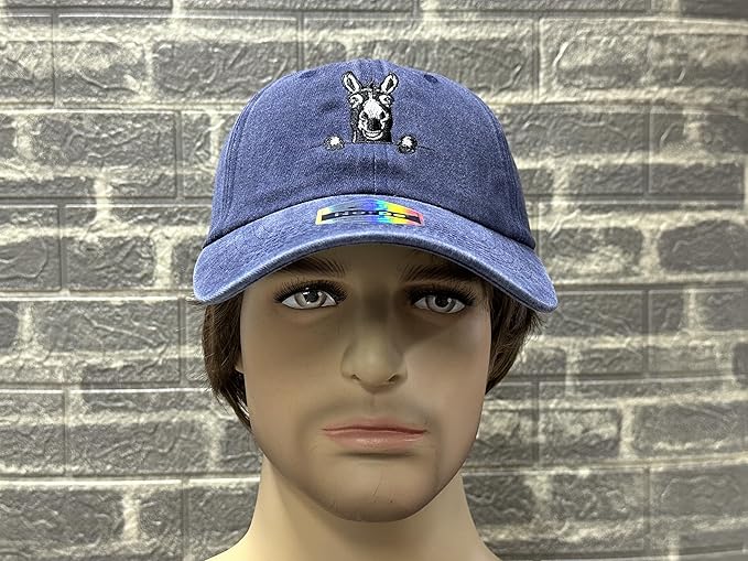 Embroidered Baseball Hats for Men and Women
