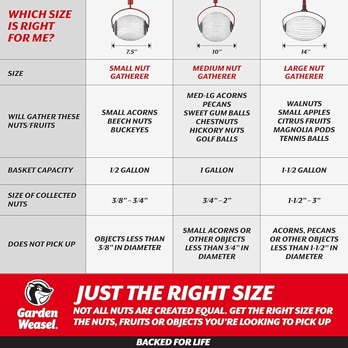 GARDEN WEASEL Medium Nut Gatherer Roller – Nut Collector Tool for Pecans, Hickory Nuts, Golf Balls and More – Yard Picker Upper with Durable Steel Cage and Ergonomic Handle - Newest Model