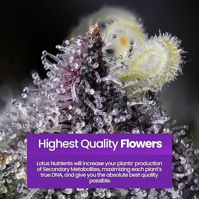 Bloom Pro Series - Hydroponic Plant Nutrients and Fertilizer, Water Soluble Plant Food, for Coco Coir Hydro and Soil, Enhances Flowering and Fruiting, Indoor and Outdoor Grows (128oz)