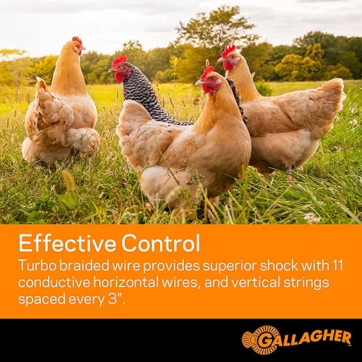 Gallagher S20 Solar Fence Charger + 48in x 82ft Poultry Netting Bundle | Portable Electric Fence System for Chickens, Garden Protection & Predator Exclusion | Solar Energizer with Rechargeable Battery