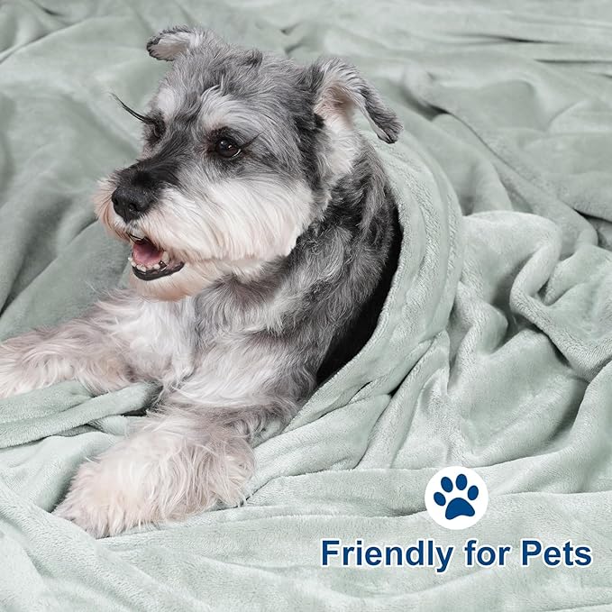 PHF Ultra Soft Fleece Blanket King Size, No Shed No Pilling Luxury Plush Cozy 300GSM Lightweight Blanket for Bed, Couch, Chair, Sofa Suitable for All Season, 108" x 90", Jasper Stone