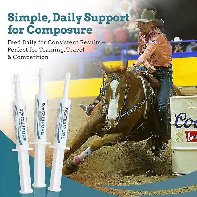 SynNutra Equine SynChill Pure 10-Pack – Non-Sedative Disposition Support for Horses – Plant-Based, L-Theanine-Free Formula for Calm, Confident Performance – 100% Natural & Competition Safe