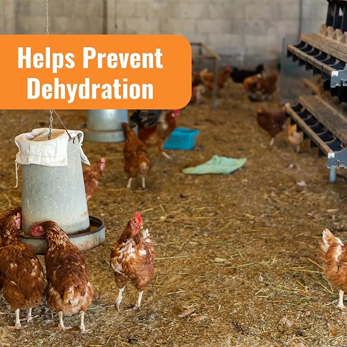 AquaBoost Probiotic + Electrolyte Powder for Chickens – Natural Hydration & Gut Support Supplemnet for Daily Wellness & Egg Production - Safe for All Flocks & Ages - USA (8 oz)
