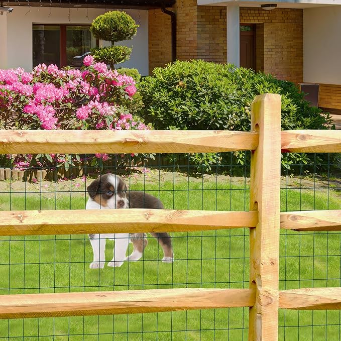 Green PVC Coated Welded Wire Fence 36 Inch x 25 Foot, 2 Inch x 3 Inch 16GA, Garden Border Fencing Roll Vinyl Coating Metal Wire Mesh for Yard Vegetable Plant Protection Poultry Netting