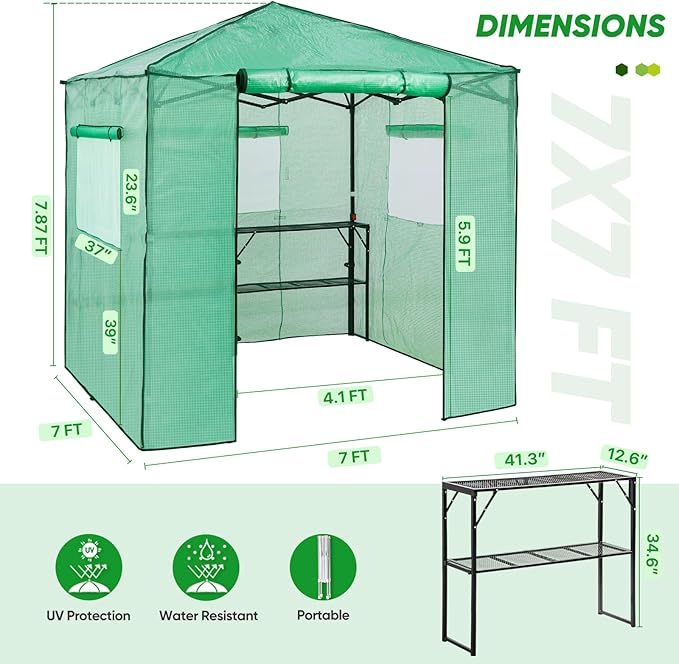 EAGLE PEAK 7x7 Pop up Greenhouse Portable Walk-in Outdoor Gardening Green House with 2 Foldable Shelves, Roll-up Zipper Entry Door and 3 Mesh Windows, PE Cover, Green/Clear