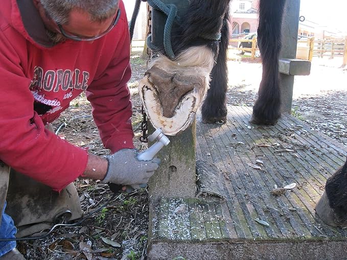 Hoof Boss Electric Horse Hoof Trimmer Kit — Rotary Farrier Tool for Horses with Trimming & Finishing Discs, Chain File, Safety Glasses & Tool Bag (Plug‑in)