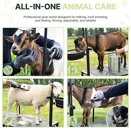 Goat Stand with Adjustable Headpiece & Legs, Goat Milking Stand with Feeder, Rails & Wheels, Stanchion for Grooming & Hoof Trimming, Sheep Stand for Shearing Heavy-Duty Steel Platform, Black