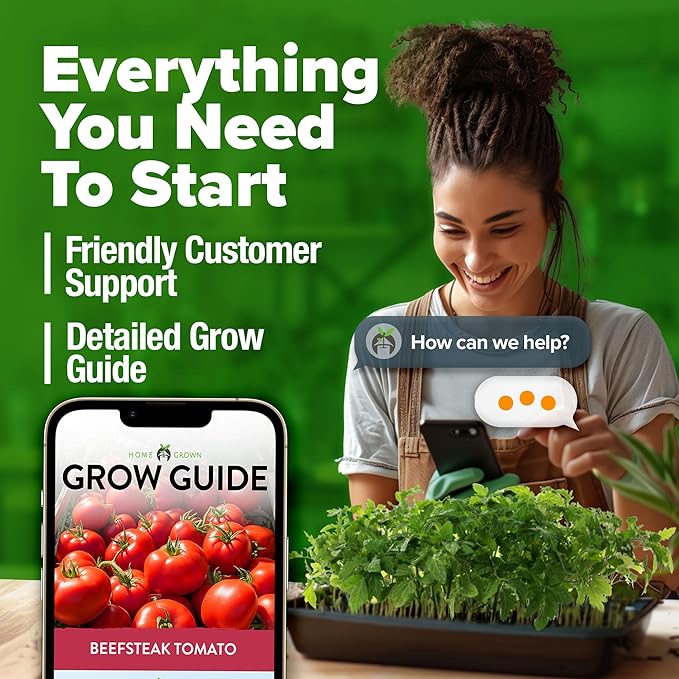 HOME GROWN Beefsteak Tomato Seed 2Pack - 600 Heirloom Tomato Seeds for Planting Outdoors – High-Yield Non-GMO Vegetable Seeds for Growing Large, Meaty Tomatoes for Summer Dishes (Solanum lycopersicum)