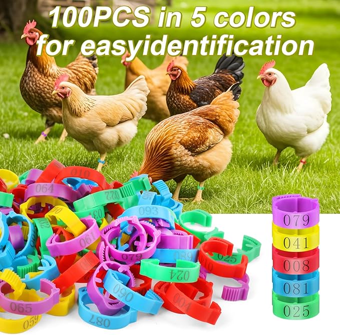 100 Pcs Adjustable Chicken Leg Rings, Multicolor Numbered Chicken Identification Leg Bands, Durable Poultry Leg Bands for Chickens Turkey Goose Ducks
