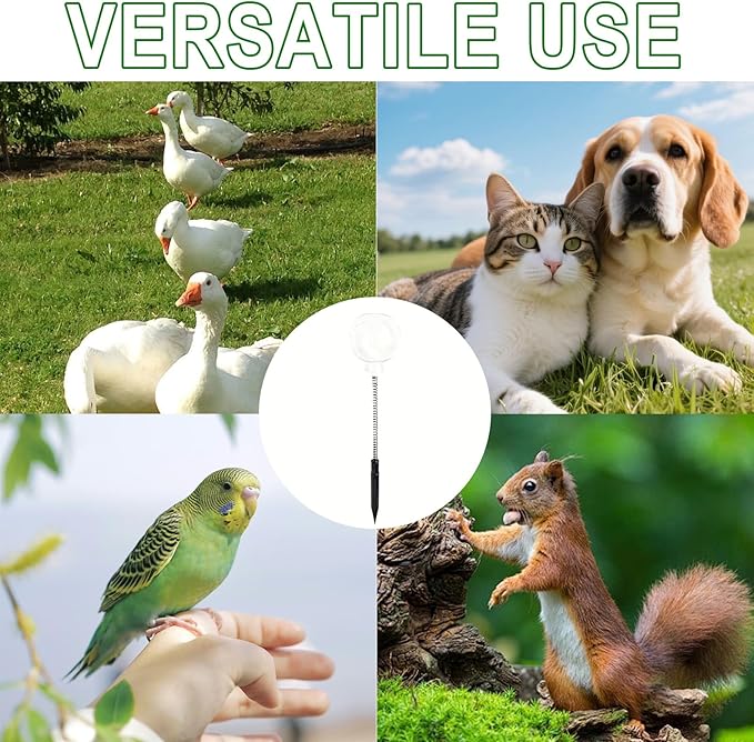 2PCS Chicken Peck Toys Poultry Enrichment Swing & Slow Feeder Chicken Treat Dispenser for Hens Ducks Birds and Parrots Transparent Coop Toys for Fun & Feeding