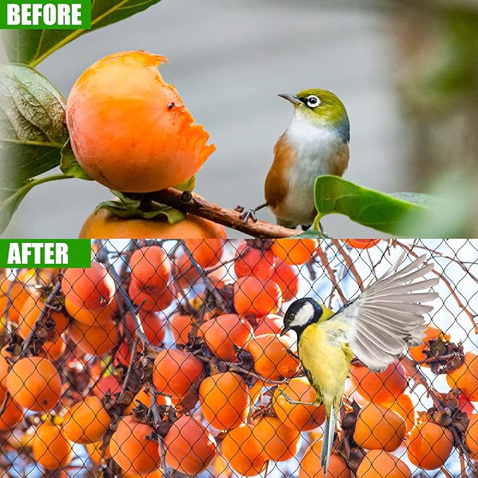 Bird Netting for Chicken Coop - 50x50ft Poultry Netting Over Chicken Run & Chicken Pen, Heavy Duty 2.4” Mesh Garden Net for Blueberry Bushes, Fruit Trees and Vegetable Against Birds, Deer, Squirrels