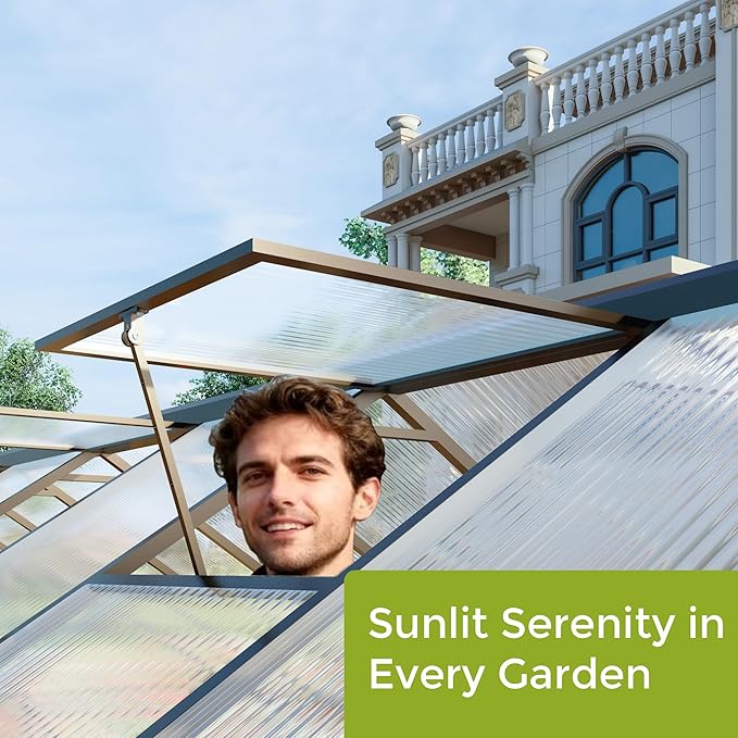 CQZY 8x12 FT Greenhouse for Outdoors, Polycarbonate Greenhouse with Quick Setup Structure and Roof Vent, Aluminum Large Walk-in Green House for Outside Garden Backyard, Dark Gray