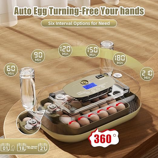 XOTTI 24 Egg Incubator for Hatching Eggs, with Smart Temperature Control and Humidity Display, Auto Egg Turner, 360° View, LED Candler, Incubator for Chicken Duck Quail Goose for Home School Farm Lab