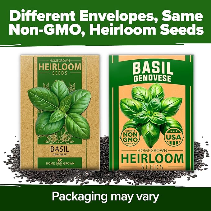 HOME GROWN Genovese Basil Seeds 2 Pack - 3500 Non GMO Heirloom Basil Seeds for Planting (Ocimum basilicum) - Herb Seeds for Indoor & Outdoor Gardening - Grow for Culinary Use