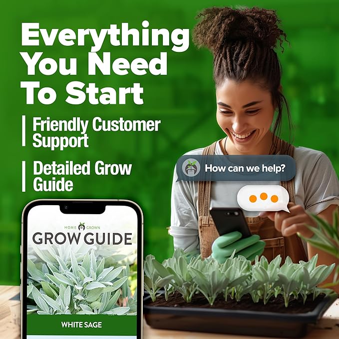 HOME GROWN White Sage Seeds 646 Pack Heirloom Seeds - Grow Aromatic Sage Plants for Your Herb Seeds Garden with Sage for Planting Outdoor or Indoor (Salvia apiana)