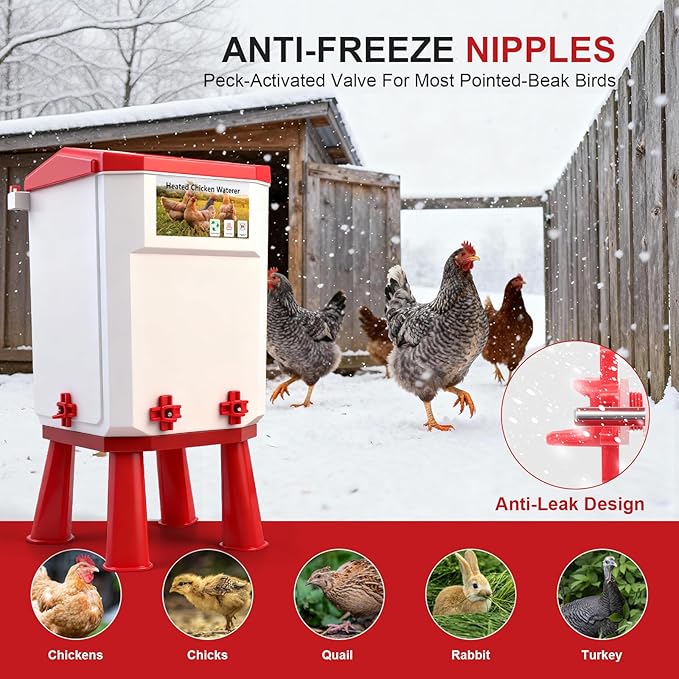 Heated Chicken Waterer Chicken Water with Heater for Winter with 4 Horizontal Nipples and Detachable Legs,3 Adjustable Heights,Poultry Drinker for Chicks, Ducks and Quail Polypropylene 3 Gallon