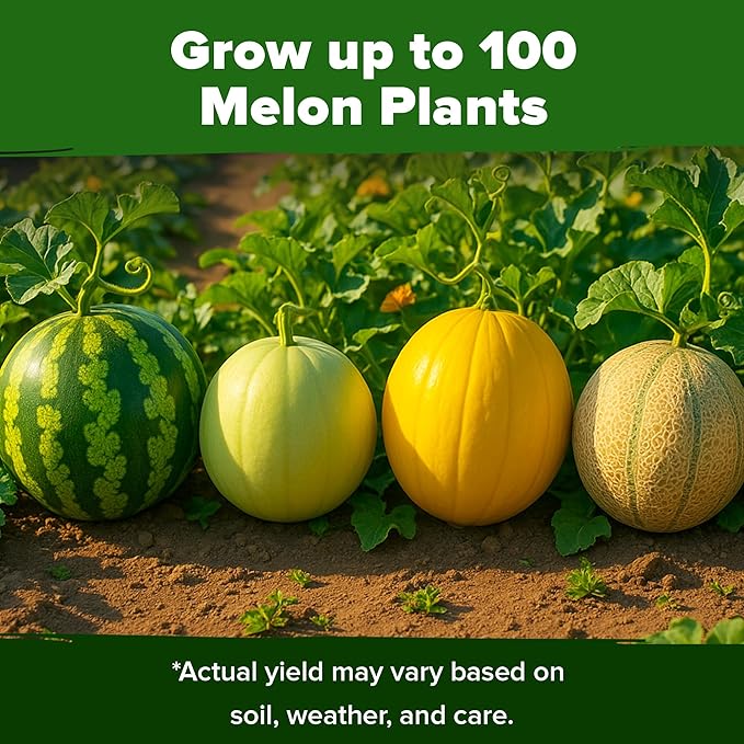 HOME GROWN Melon Seeds Variety Pack 5 Heirloom Vegetable Seeds, Watermelon Cantaloupe Honeydew Sugar Baby & Melon, High Germination for Planting Home Garden Indoors