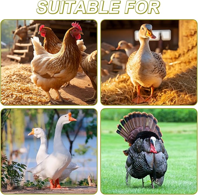 100 Pcs Adjustable Chicken Leg Rings, Multicolor Numbered Chicken Identification Leg Bands, Durable Poultry Leg Bands for Chickens Turkey Goose Ducks