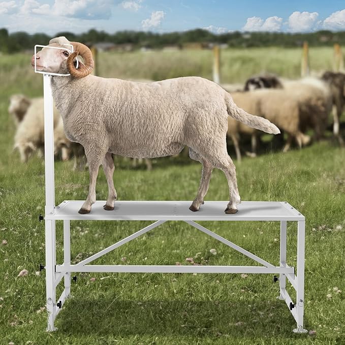 VEVOR Goat Milking Stand - Deluxe Adjustable 51x23 inch Premier Metal Livestock Stand, Durable Headpiece and Nose Loop, Height Adjustable 21" to 33", Ideal for Horned Farm Animals, White