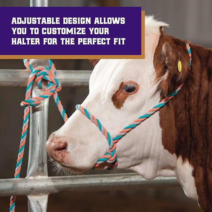 Weaver Livestock Braided Poly Rope Cattle Halter, Adjustable, Modern Style Cow Calf Halter, Livestock Handling Equipment for Showing, Coral/Gray/Teal