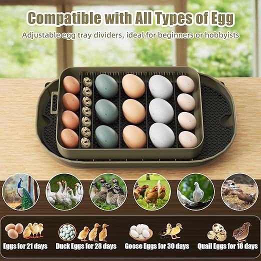 XOTTI 24 Egg Incubator for Hatching Eggs, with Smart Temperature Control and Humidity Display, Auto Egg Turner, 360° View, LED Candler, Incubator for Chicken Duck Quail Goose for Home School Farm Lab