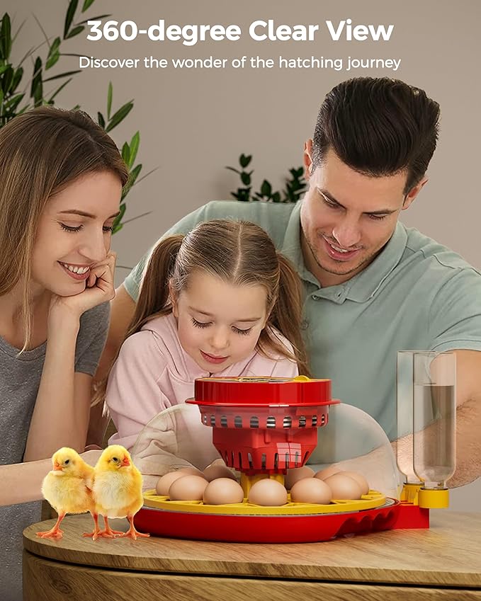 Incubator for Hatching Eggs,Automatic Turning,Temperature and Humidity Control Display,360° Viewing for Chicken, Duck, Quail Eggs, Ideal for Farm, Classroom, Home Use,2025 Upgraded 12 Egg Incubators