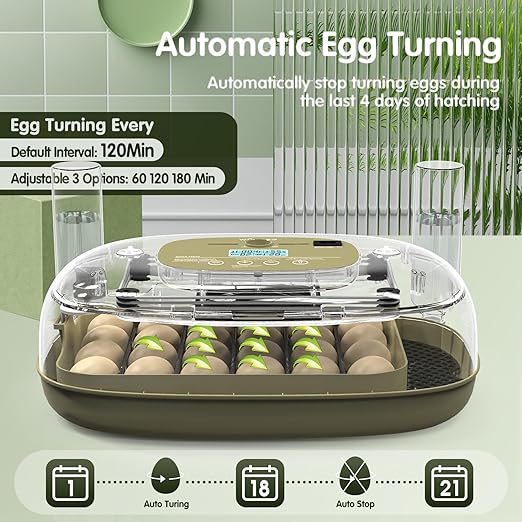 24 Egg Incubator with Automatic Turning, Temperature and Humidity Control, LED Egg Candler, and Auto Water Addition, for Hatching Chicken, Goose, Duck, Quail, Pigeon, and Turkey Eggs