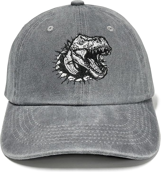 Embroidered Baseball Hats for Men and Women