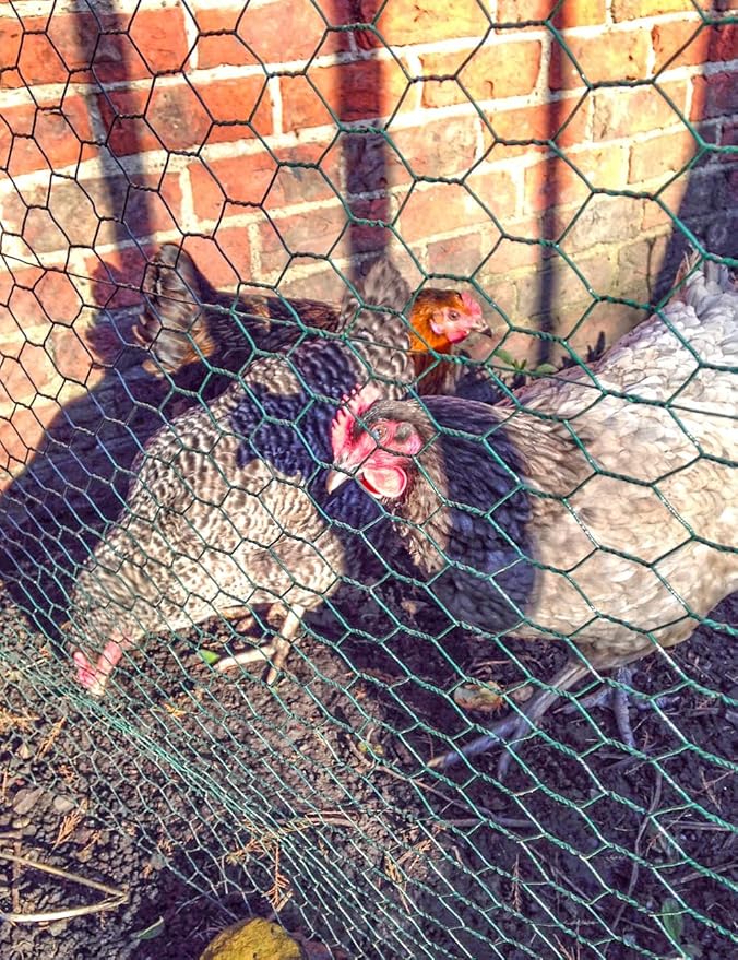 TOYPOPOR Chicken Wire, 16''x 396''/33ft Mesh Roll for Floral Arrangements, Anti-Rust PVC Coated Garden Netting, Rabbit Animal Fence with Cutting Plier, Gloves and Ties for DYI Crafts, Poultry, Garden