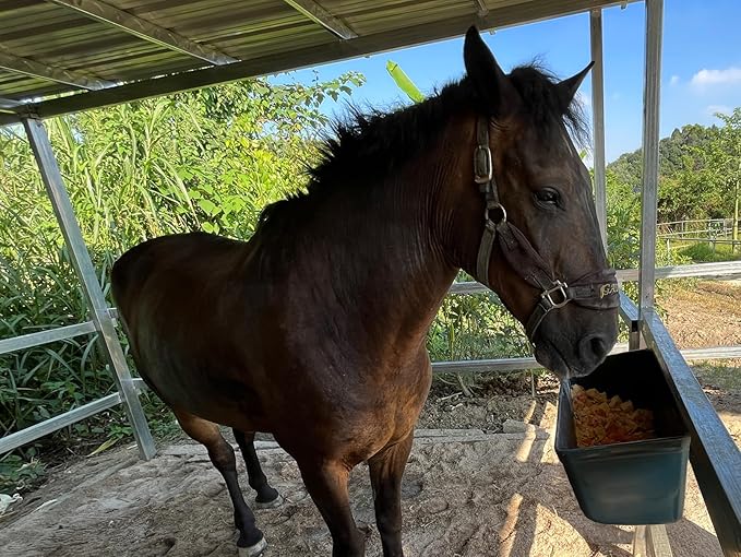 Large Feed Trough and Goat Feeder - 2 Pack Hanging Feeder with Clips, Waterer Bucket, Fence Feed Trough, Goat Supplies, 10 Quart