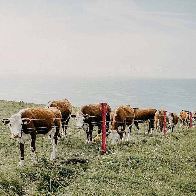 Woven Wire Fence Stretcher Bars with 5 Wedges, Heavy-Duty Wire Fencing Tool-4ft, Suitable for Farm, Manor, Cropland, Yards and Garden, Outdoor, Red