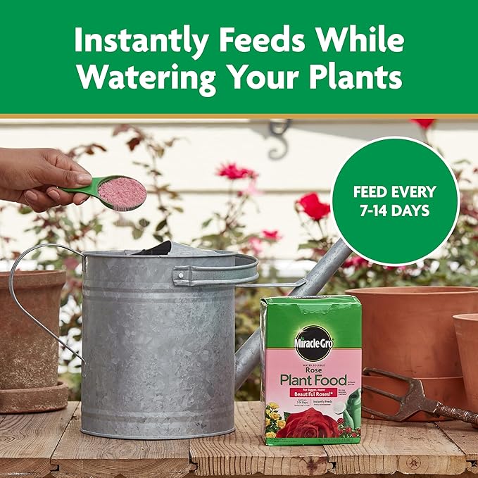Miracle-Gro Water Soluble Rose Plant Food, 1.5 lb