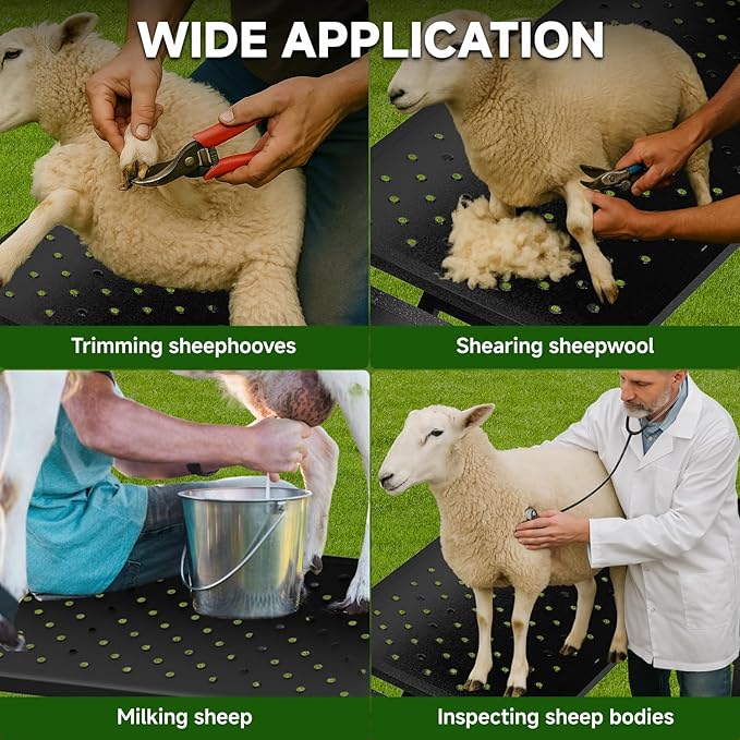 Professional Goat Milking and Trimming Stand with Ramp, Sheep and Goat Grooming Platform, Livestock Care Equipment (Black with Ramp)