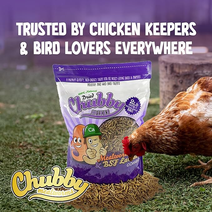 Chubby Mix Mealworm & Black Soldier Fly Larvae | 4 lbs | Non-GMO High-Protein Dried Insects for Chickens, Ducks & Wild Birds – Calcium-Rich Chicken Treats