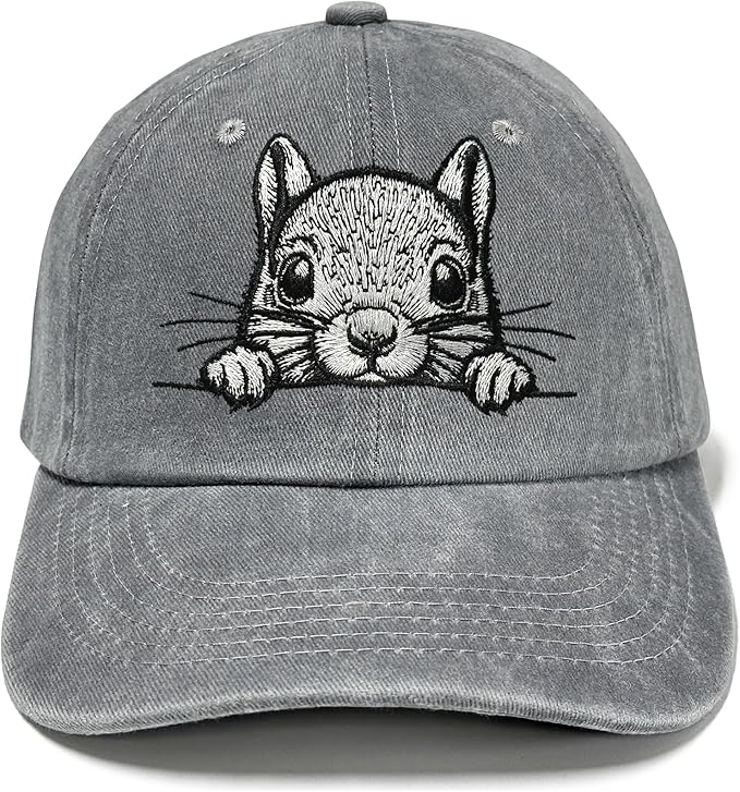 Embroidered Baseball Hats for Men and Women