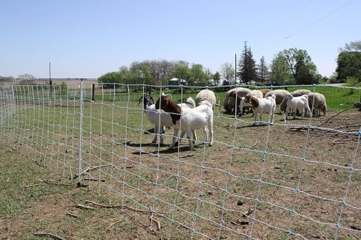 Starkline 42" x 164' Electric Netting All-in-One Solar Kit for Goats, Sheep, Gardens, Beehives, Dogs, and More for Backyards, Homesteads, Farms and Ranches