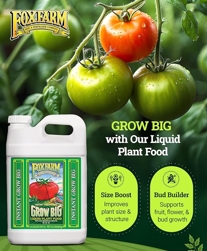 FoxFarm Grow Big Liquid Plant Food - Bloom Fertilizer for Flowers, Fruits, and Vegetables, Perfect for Indoor & Outdoor Potted Plants, NPK 6-4-4 (2.5 Gallons)