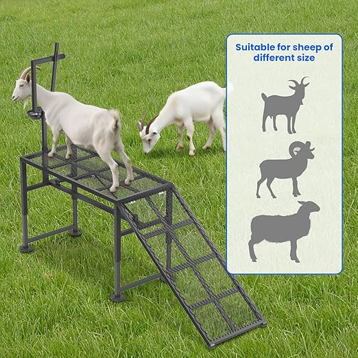 Goat Milking Stand for Sheep & Goats – Adjustable Metal Trimming Platform with Ramp – Sturdy Livestock Grooming Stand with 18.5–28.8" Height Range